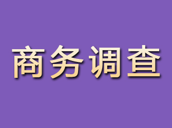 新余商务调查